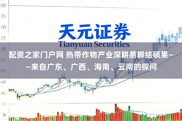 配资之家门户网 热带作物产业深耕易耨结硕果——来自广东、广西、海南、云南的探问