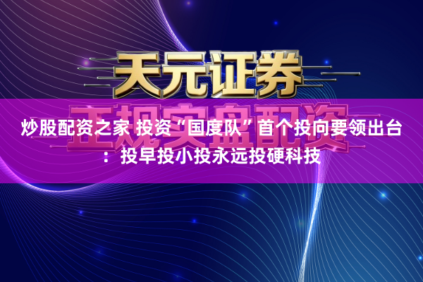 炒股配资之家 投资“国度队”首个投向要领出台：投早投小投永远投硬科技