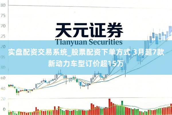 实盘配资交易系统_股票配资下单方式 3月超7款新动力车型订价超15万